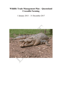 Queensland Crocodile Farming 1 January 2013