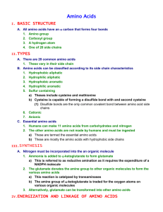 amino acids