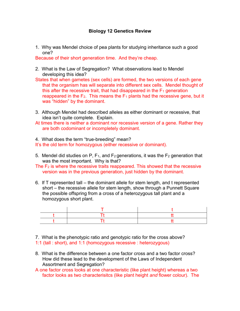 Mendelian Genetics Review answers Intended For Mendelian Genetics Worksheet Answer Key