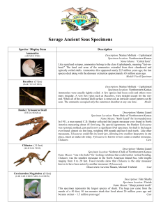 Specimens Handout - Savage Ancient Seas