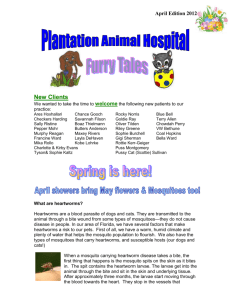 Edition 2012 - Plantation Animal Hospital
