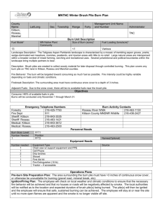 MN DNR Prescribed Burn Plan NA-01990-