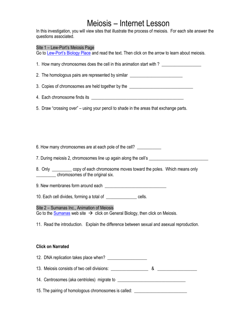 Meiosis Inter Lesson