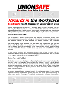 the Health Hazards in Construction Sites