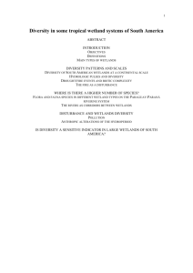 Wetlands diversity in some tropical wetland Systems of South América