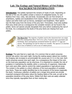 Lab: The Ecology and Natural History of Owl Pellets
