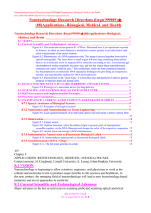 Nanotechnology Research Directions (Iwgn199909)  (08)Applications