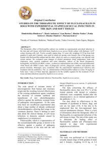 studies on the therapeutic effect of flucloxacillin in dogs - uni