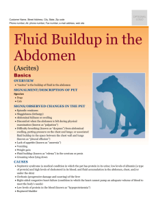 fluid_buildup_in_the_abdomen
