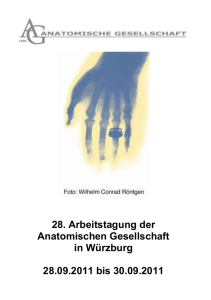 28. Arbeitstagung der Anatomischen Gesellschaft in Würzburg 28.09