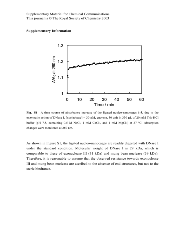 supplementary-information