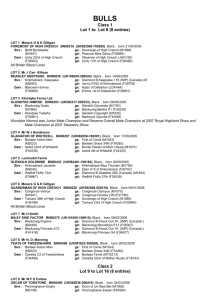 BULLS - The Galloway Cattle Society