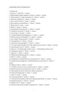 Supplementary Information 1 - Word file (60 KB )