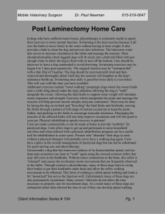 Post Laminectomy Home Care