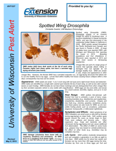 Spotted Wing Drosophila Christelle Guédot, UW