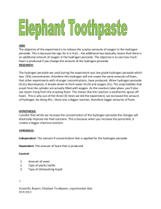 Elephant toothpaste-lab report-corrected-term1-2012