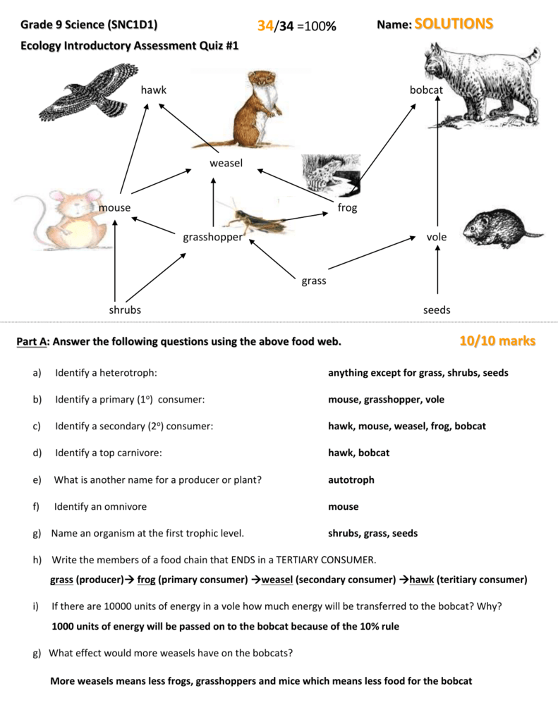 Ecology Quiz 1 Answers