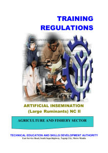 tr-artificial insemination (large ruminants)