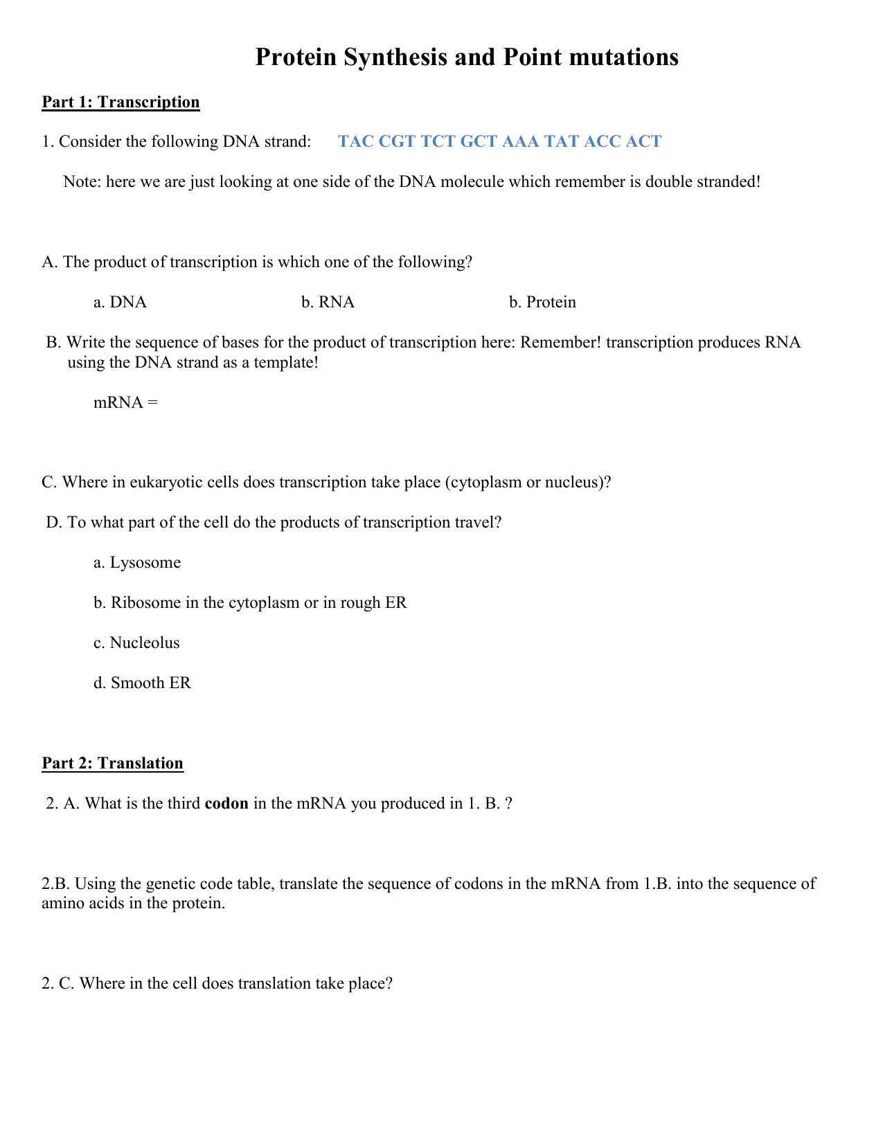 Protein synthesis and point mutations (24 points) With Protein Synthesis Review Worksheet Answers
