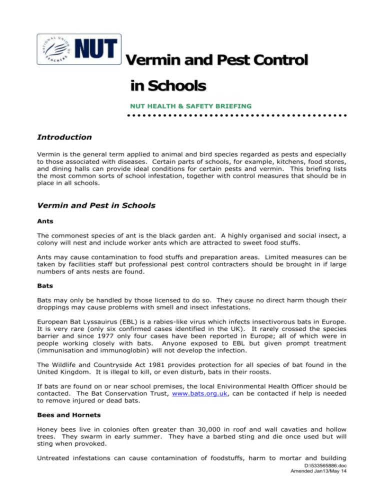 Vermin And Pest Control In Schools