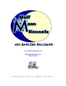 "Half Moon Kennel`s Bulldog Care Handbook"