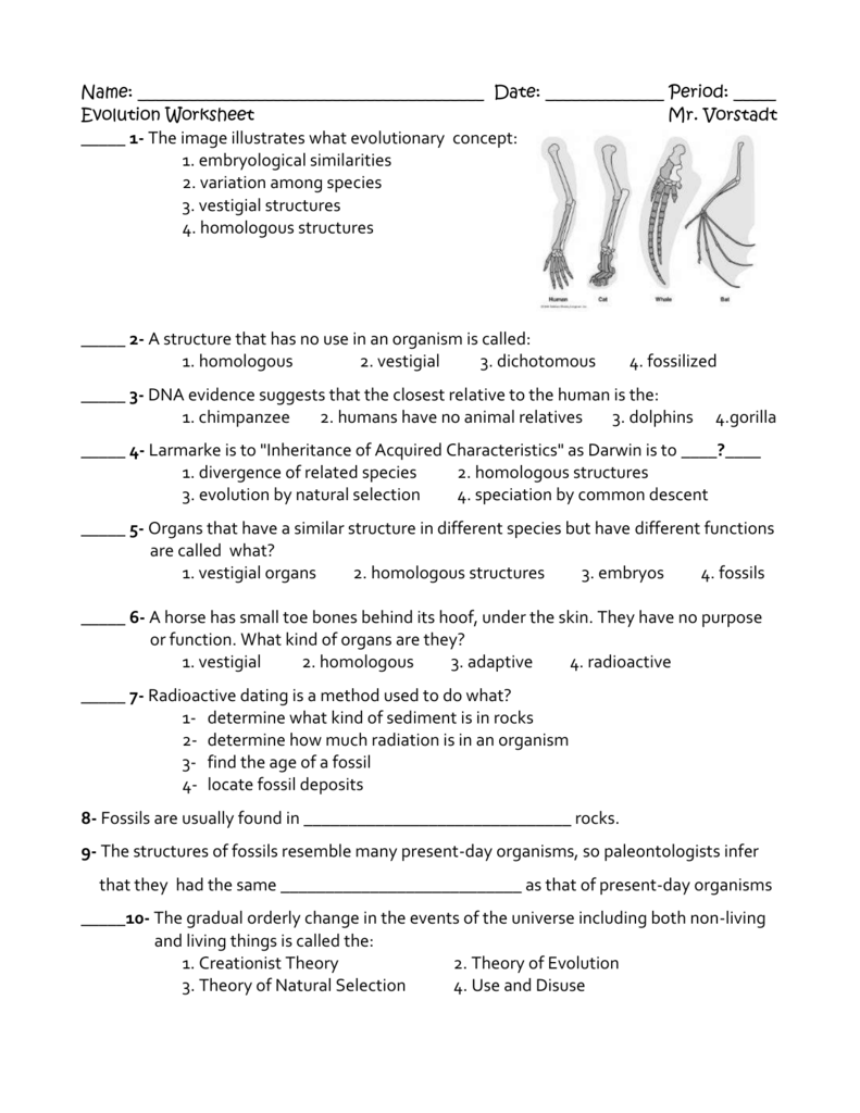 Evolution Worksheet Inside Types Of Evolution Worksheet