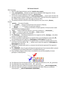 EOC Review Packet #2 DNA Technology What can DNA
