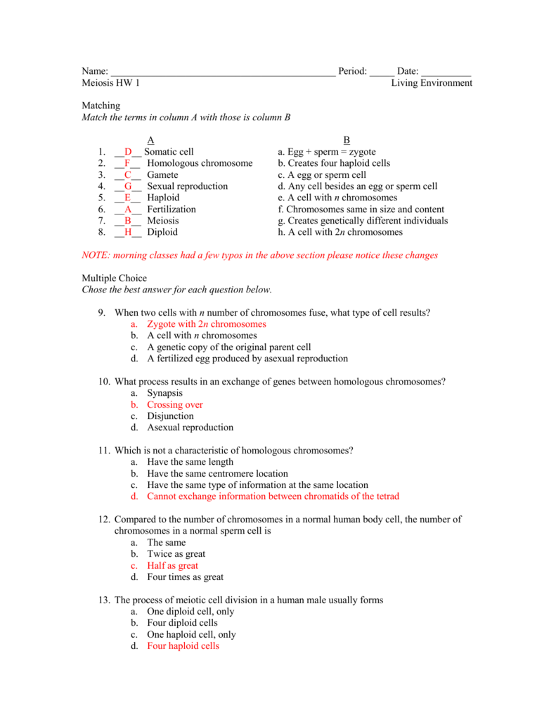 meiosis biology homework worksheet answer key