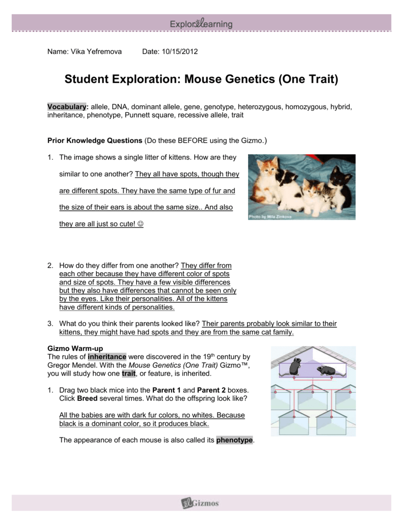 mousegeneticssescience