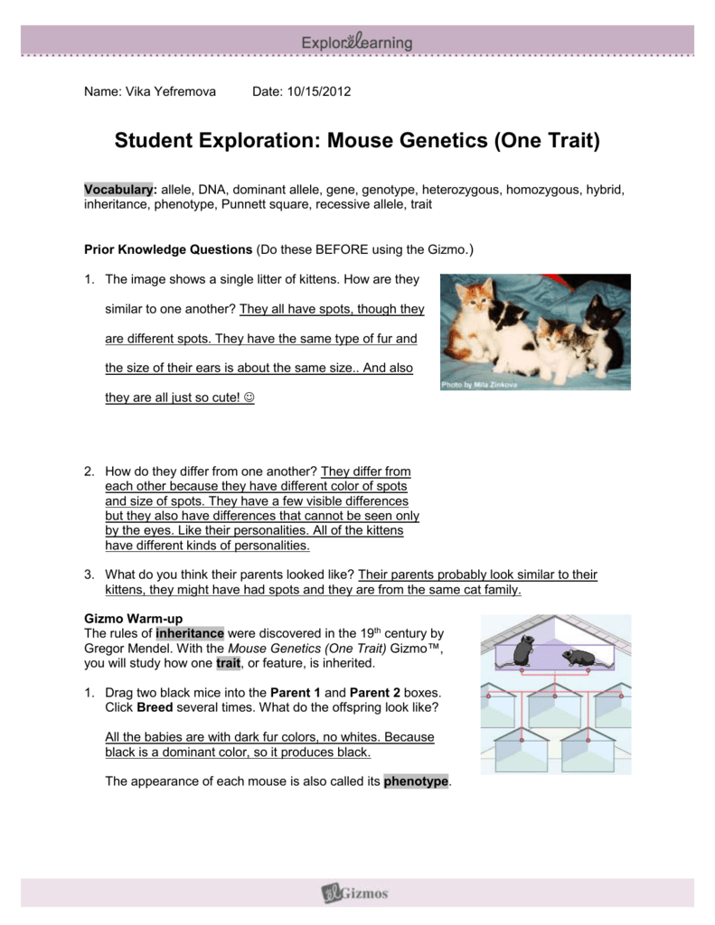 Mouse Genetics Two Traits Gizmo Answer Key Pdf ...