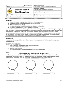 studylib  essys homework help flashcards research