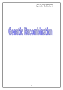 Student Genetic recombination