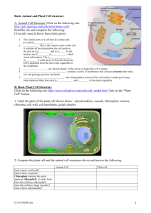 Basic Animal and Plant Cell structure