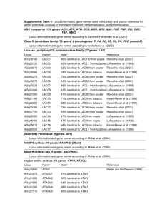 Supplemental Table 4: Locus information, gene names used