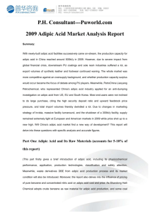 2008年度中国AA市场研究报告正文目录