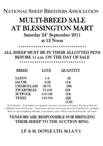 Blessington Multi Breed Sheep Sale Catalog Cover