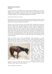 EQUINE GRASS SICKNESS - Equine Behaviour Forum