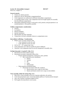 18.Intracellular transport