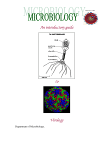 1065-an_introductory_guide_to_virology