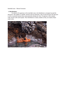 Intertidal zone ~ Biome Extension