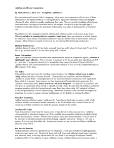 Cellulose or Foam – impartial