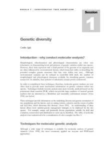 M4S2 Genetic diversity - World Agroforestry Centre