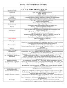 GENETICS TERMS & CONCEPTS