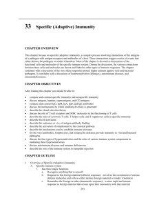 33 Specific (Adaptive) Immunity CHAPTER OVERVIEW This chapter