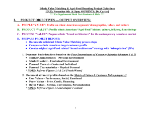 Ethnic Value Matching Process Guide