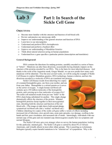 Lab 3 In Search of the Sickle Cell Gene
