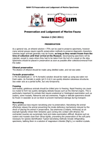 Marine Survey Specimens Lodgement