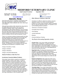 DAIRY “MOOS”LETTER - Medford Veterinary Clinic