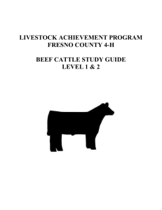 Beef Study Guide - UC Agriculture and Natural Resources