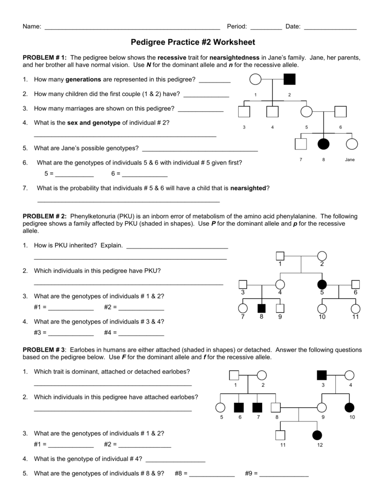 pedigree-practice-worksheet-answer-key